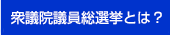 衆議院議員総選挙とは？