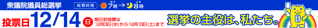 衆議院議員総選挙